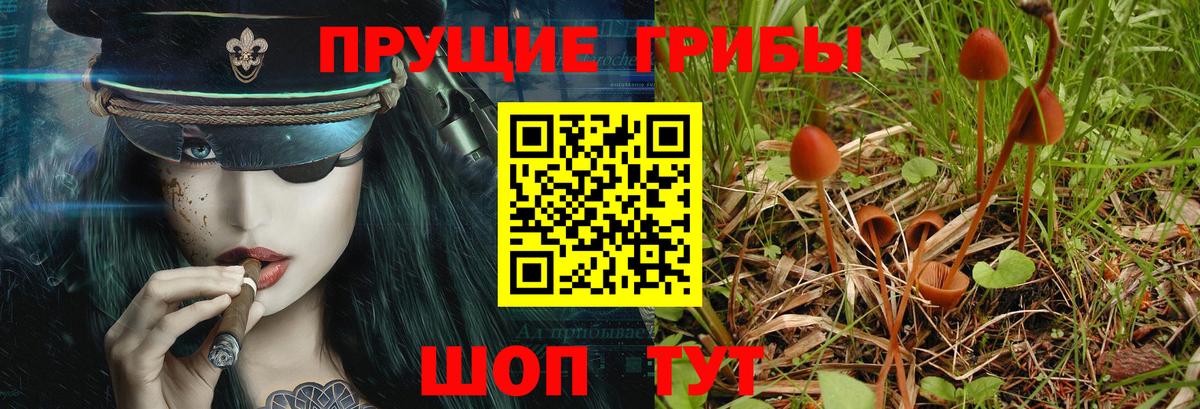 Галлюциногенные грибы мухоморы  сколько стоит  Кимры  Псилоцибиновые грибы MAGIC MUSHROOMS  Вход с VPN 