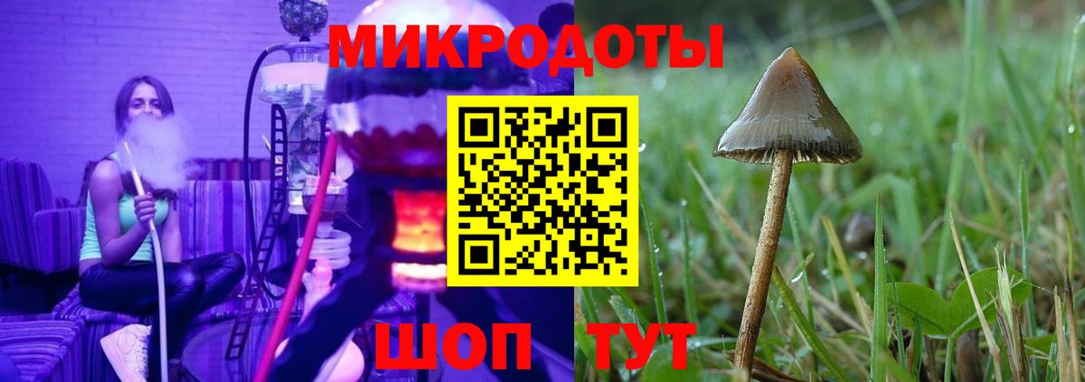 Псилоцибиновые грибы прущие грибы Кимры